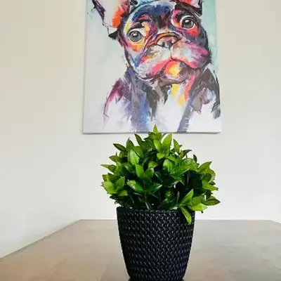 Gemütliches Altbauapartment I