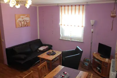 TV/Unterhaltungsangebot in der Unterkunft Apartment in Dorfchemnitz bei Sayda 3110