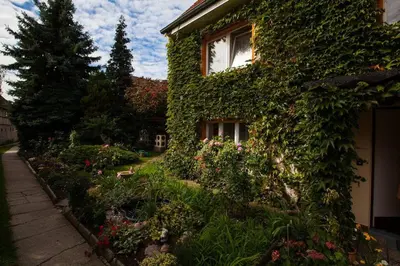 Ein Garten an der Unterkunft Ferienwohnung Nr. 2 