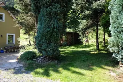 Ein Garten an der Unterkunft Waldhaus Bielatal