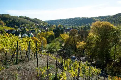Naturlandschaft in der Nähe der Ferienwohnung