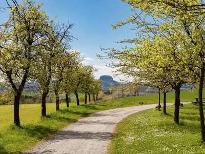 Naturlandschaft in der Nähe des Ferienhauses