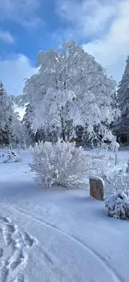 Haus Botanico im Winter