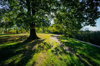 Naturlandschaft in der Nähe der Ferienwohnung