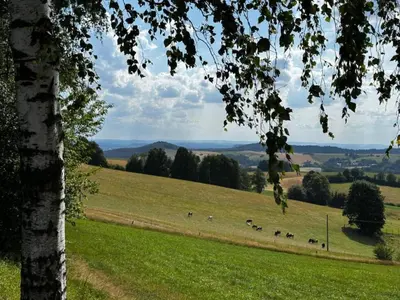Naturlandschaft in der Nähe des Ferienhauses