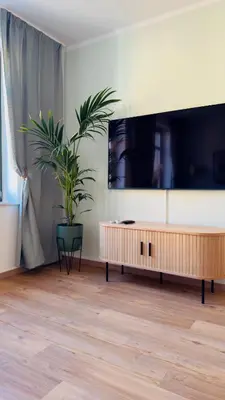 TV/Unterhaltungsangebot in der Unterkunft Stylish 2R apartment