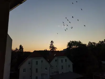 Blick auf den Sonnenuntergang/Sonnenaufgang von der Ferienwohnung aus oder aus der Nähe