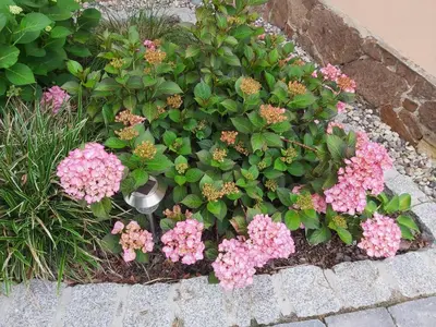 Ein Garten an der Unterkunft Villa Tini