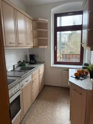 Küche/Küchenzeile in der Unterkunft 4 sleep Apartments KARL