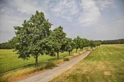 Naturlandschaft in der Nähe des Ferienhauses