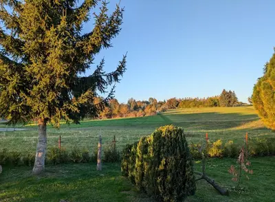 Naturlandschaft in der Nähe der Ferienwohnung