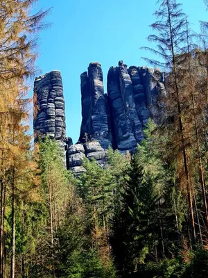 Naturlandschaft in der Nähe der Ferienwohnung