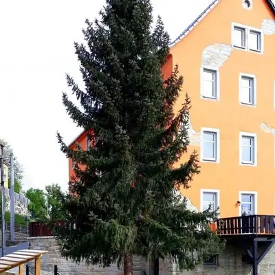 Holiday Apartment FeWo III