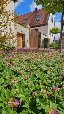 Ein Garten an der Unterkunft Friedrichs Kleines Haus