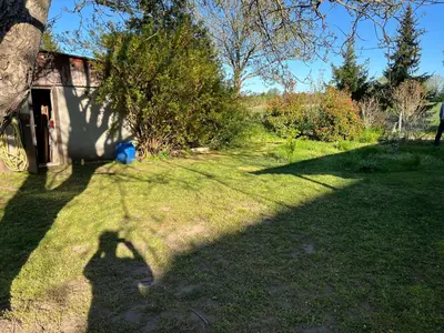 Ein Garten an der Unterkunft Holiday Home Frenkel