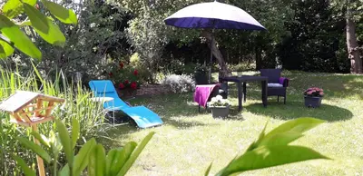 Ein Garten an der Unterkunft VILLA FREIA Dresden - Exklusive Ferienwohnung zum Erholen & Entspannen