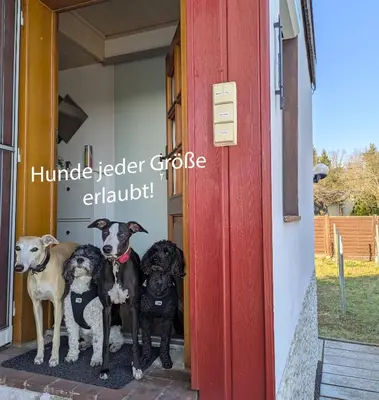 Haustiere von Gästen der Unterkunft Idyllisches Ferienhaus mit Pool, Blick und großem Grundstück