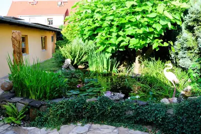 Ein Garten an der Unterkunft Cottage Sächsische Schweiz