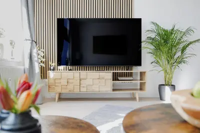 TV/Unterhaltungsangebot in der Unterkunft Kaßberg Domizil