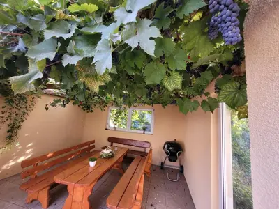 Ein Garten an der Unterkunft Stilvolle Fewo Vogelnest, barrierefrei, Smart-TV, Parkplatz