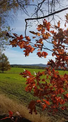 Naturlandschaft in der Nähe der Ferienwohnung