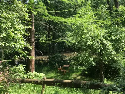 Naturlandschaft in der Nähe der Ferienwohnung