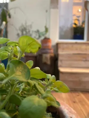 Grundriss der Unterkunft Cozy apartment