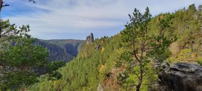Naturlandschaft in der Nähe der Ferienwohnung