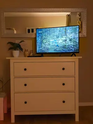TV/Unterhaltungsangebot in der Unterkunft WohnTraum an der Triebisch