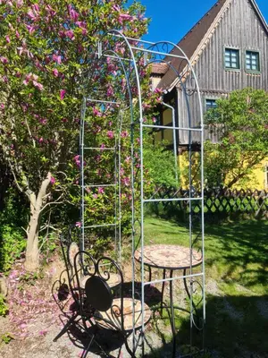 Ein Garten an der Unterkunft Gästehaus zum Rosengarten