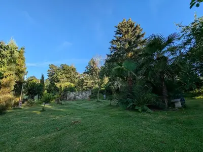 Ein Garten an der Unterkunft Ferienhaus Königsnase