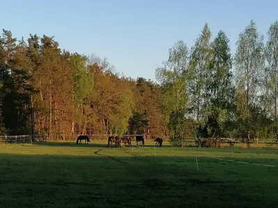 Naturlandschaft in der Nähe des Ferienhauses