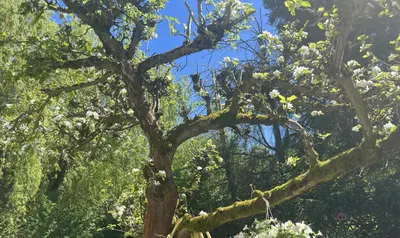 Naturlandschaft in der Nähe des Ferienhauses
