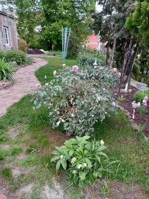 Ein Garten an der Unterkunft Stadtvilla Nichterlein - Ferienwohnung Nr 3