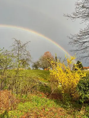 Naturlandschaft in der Nähe der Ferienwohnung