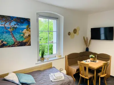 TV/Unterhaltungsangebot in der Unterkunft FEWO Edisonstraße