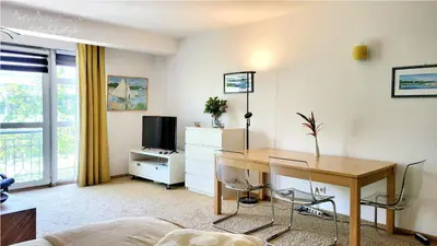 TV/Unterhaltungsangebot in der Unterkunft Appartement im Herzen Dresdens