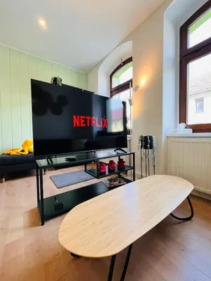 TV/Unterhaltungsangebot in der Unterkunft Makro Apartment Großenhain
