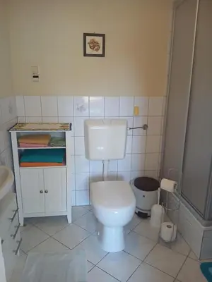 Ein Badezimmer in der Unterkunft Ferienwohnungen Sommerfrische Lindenhaus