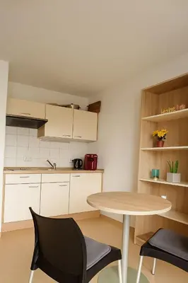 Küche/Küchenzeile in der Unterkunft Studio in Dresden Neustadt