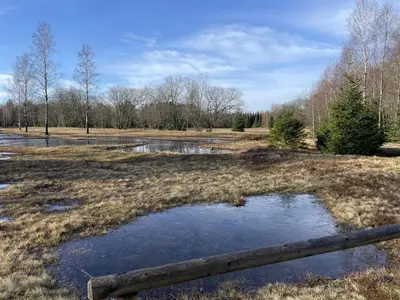 Naturlandschaft in der Nähe der Ferienwohnung
