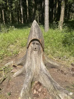 Naturlandschaft in der Nähe der Ferienwohnung
