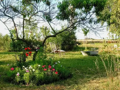 Ein Garten an der Unterkunft Cozy Apartment In Villa Near Pillnitzer Schloss