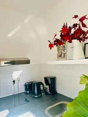 Küche/Küchenzeile in der Unterkunft Appartment am Bahnhof Mitte