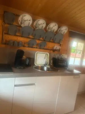 Küche/Küchenzeile in der Unterkunft Relax Hütten & Spa Gröden