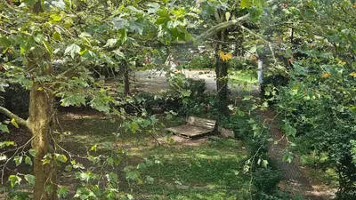 Ein Garten an der Unterkunft Günstige Wochenunterkunft für Schüler, Studenten und Berufstätige