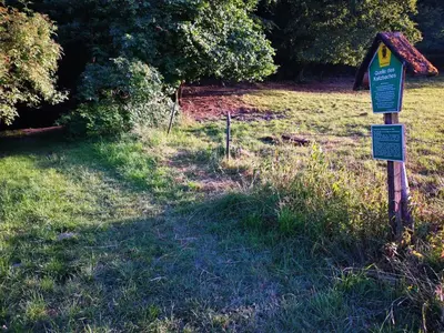 Naturlandschaft in der Nähe der Ferienwohnung