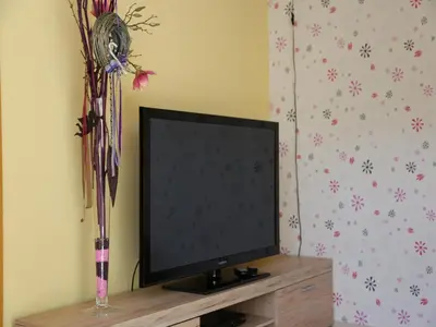 TV/Unterhaltungsangebot in der Unterkunft Ferienwohnung in Freital, Dresden