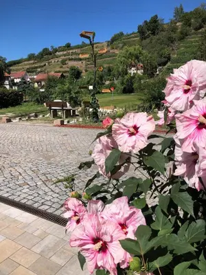 Ein Garten an der Unterkunft Ferienhaus mit Pool im Seußlitzer Grund