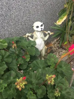 Ein Garten an der Unterkunft Ferienwohnung Gürth